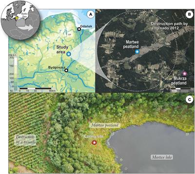Pine Forest Management and Disturbance in Northern Poland: Combining High-Resolution 100-Year-Old Paleoecological and Remote Sensing Data